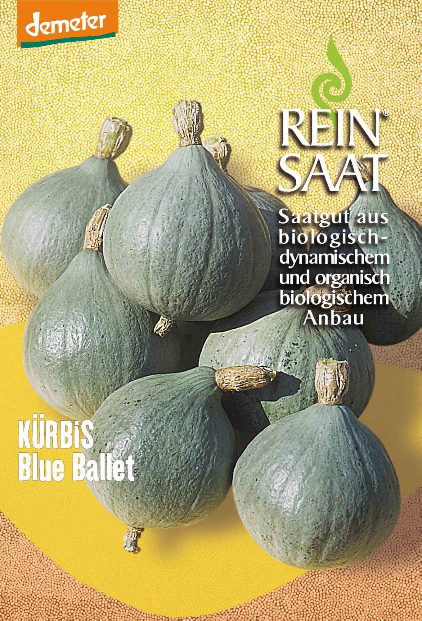 BIO Kürbis Blue Ballet