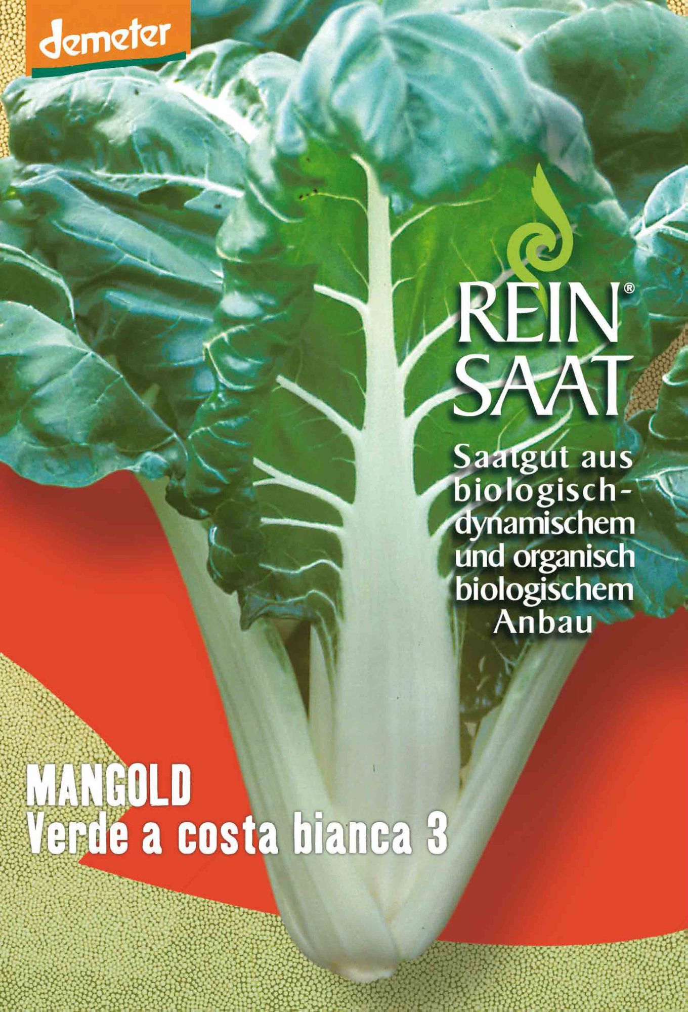 BIO Mangold Verde A Costa Bianca 3