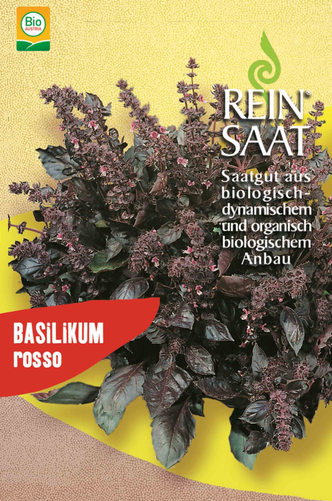 BIO Basilikum Rosso