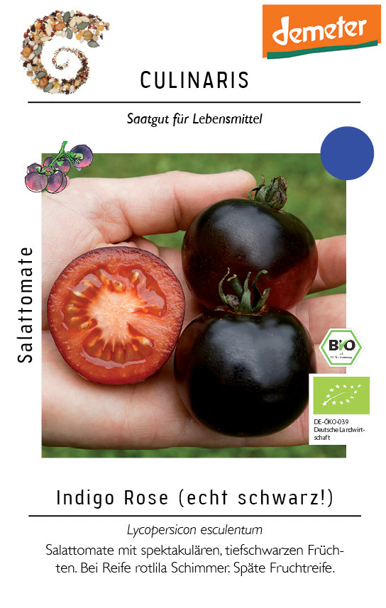 BIO Salattomate Indigo Rose