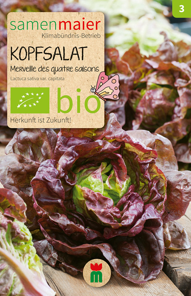 BIO Kopfsalat Merveille Des Quatre Saisons