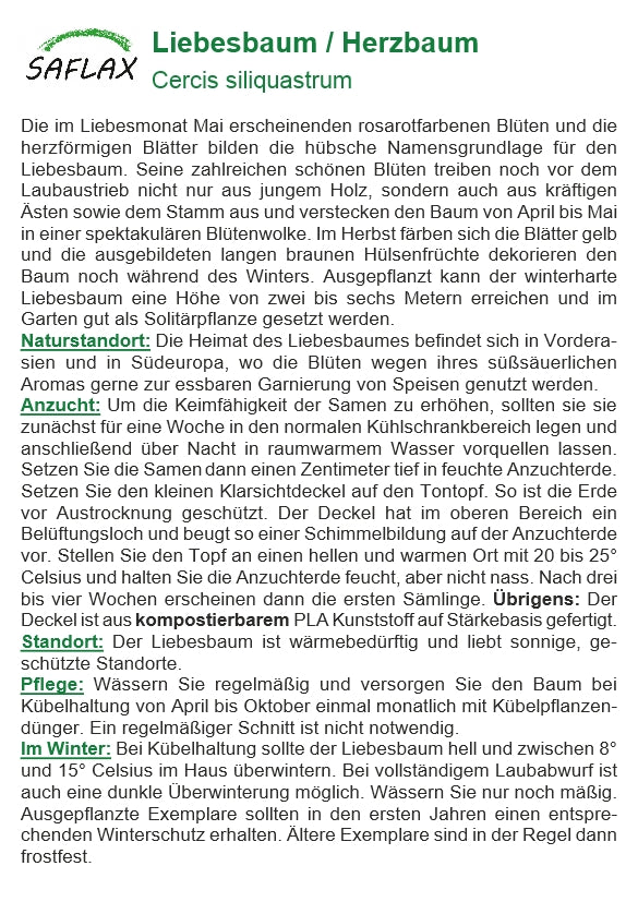 Liebesbaum