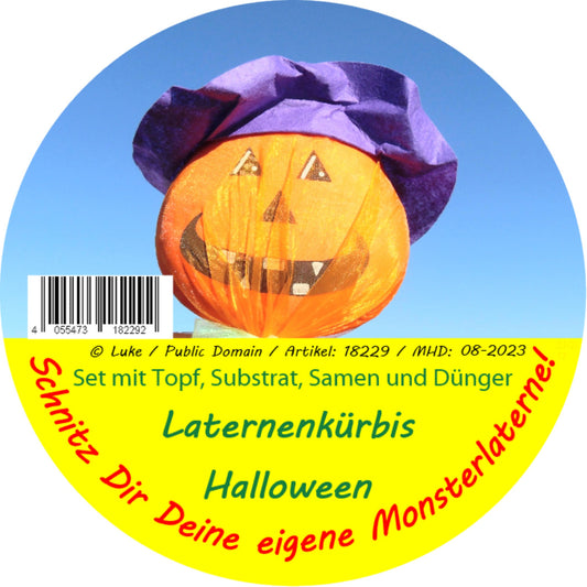 Jack O'Lantern Halloween Kürbis