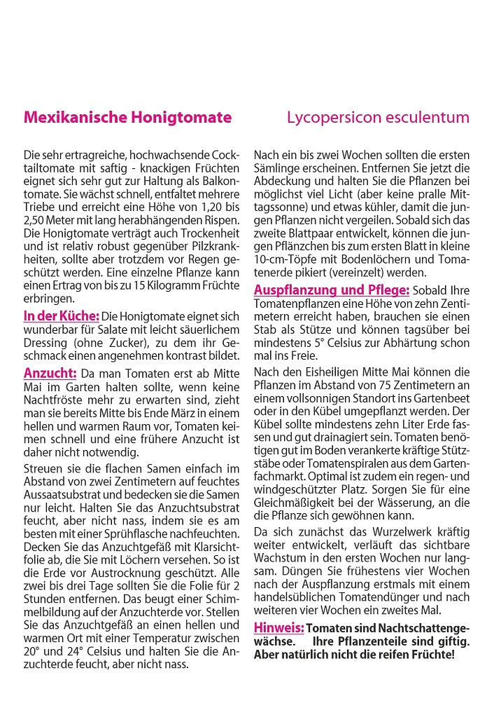 Mexikanische Honigtomate