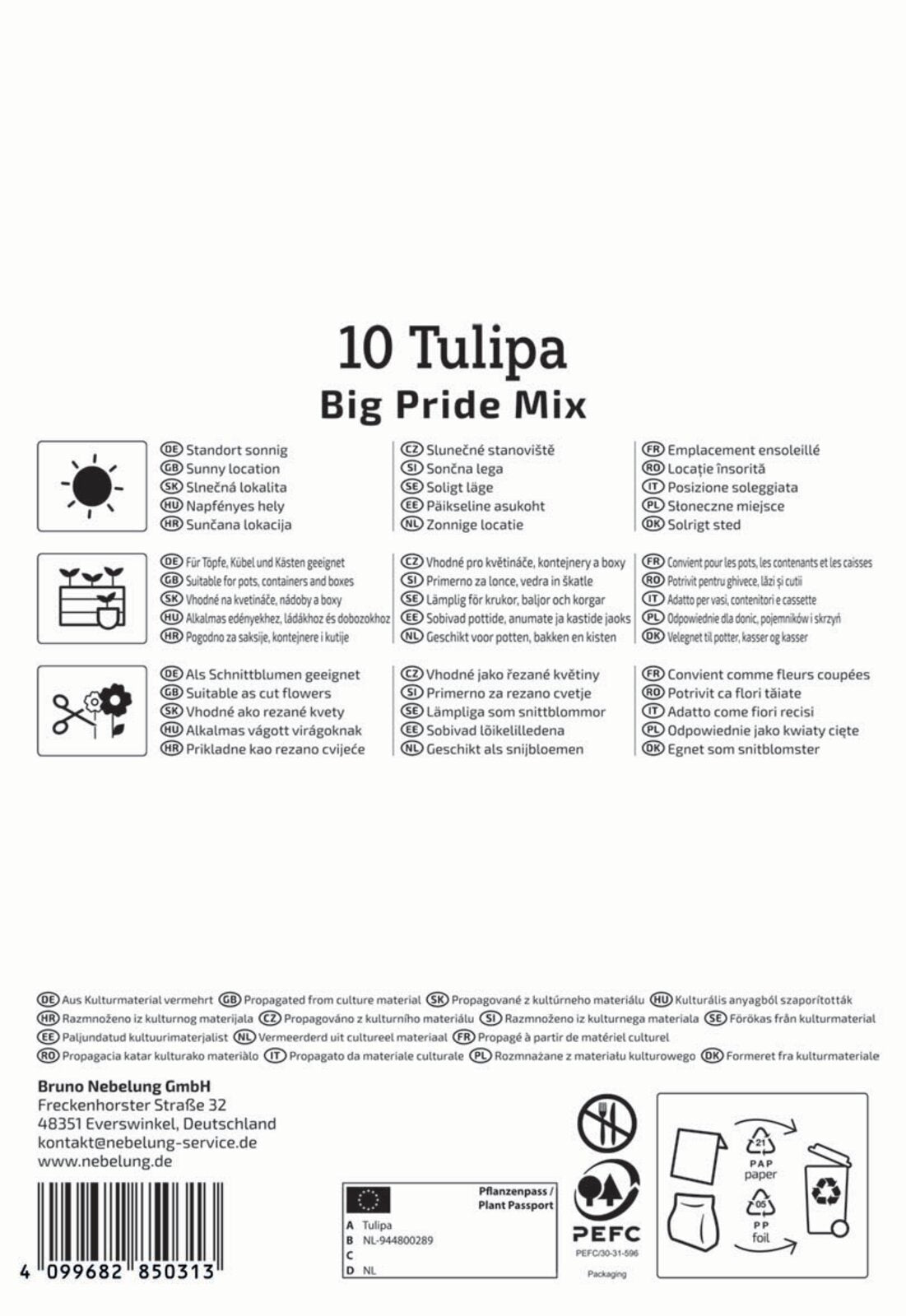 Darwin-Hybrid-Tulpen Big Pride Mix (10 Stück)