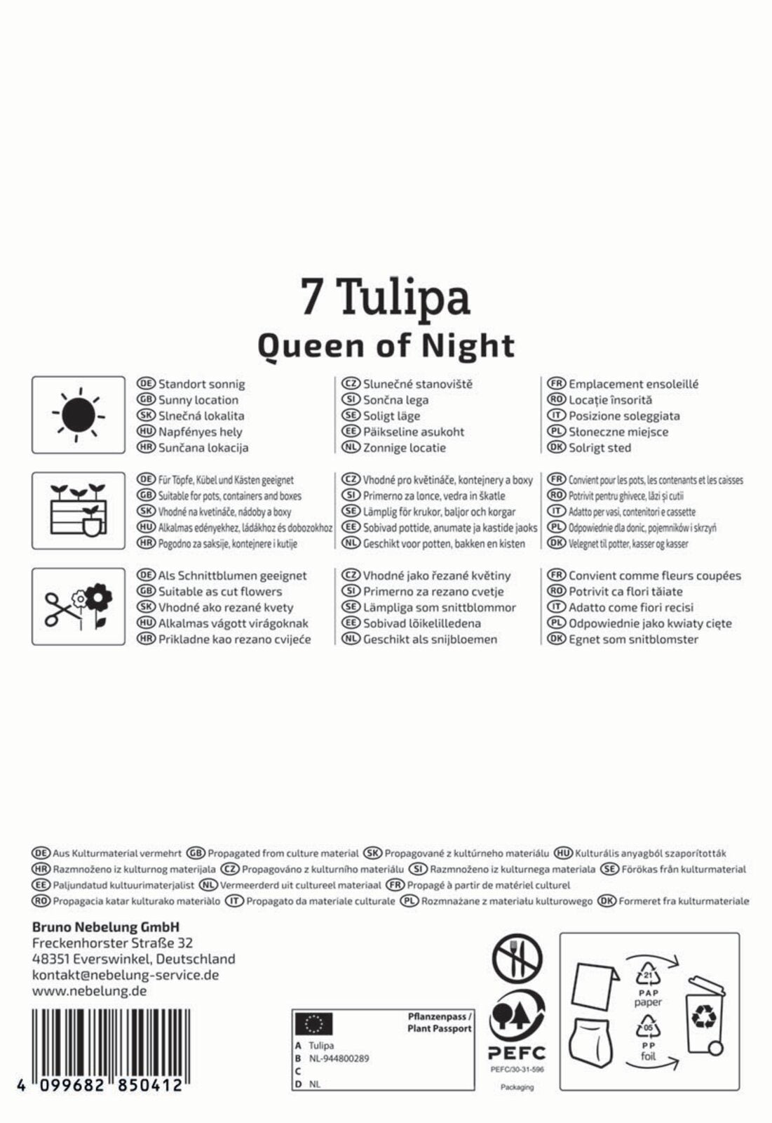 Einfache Späte Tulpe Queen Of Night (7 Stück)