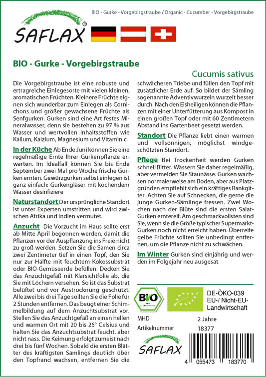 BIO Gurke Vorgebirgstraube