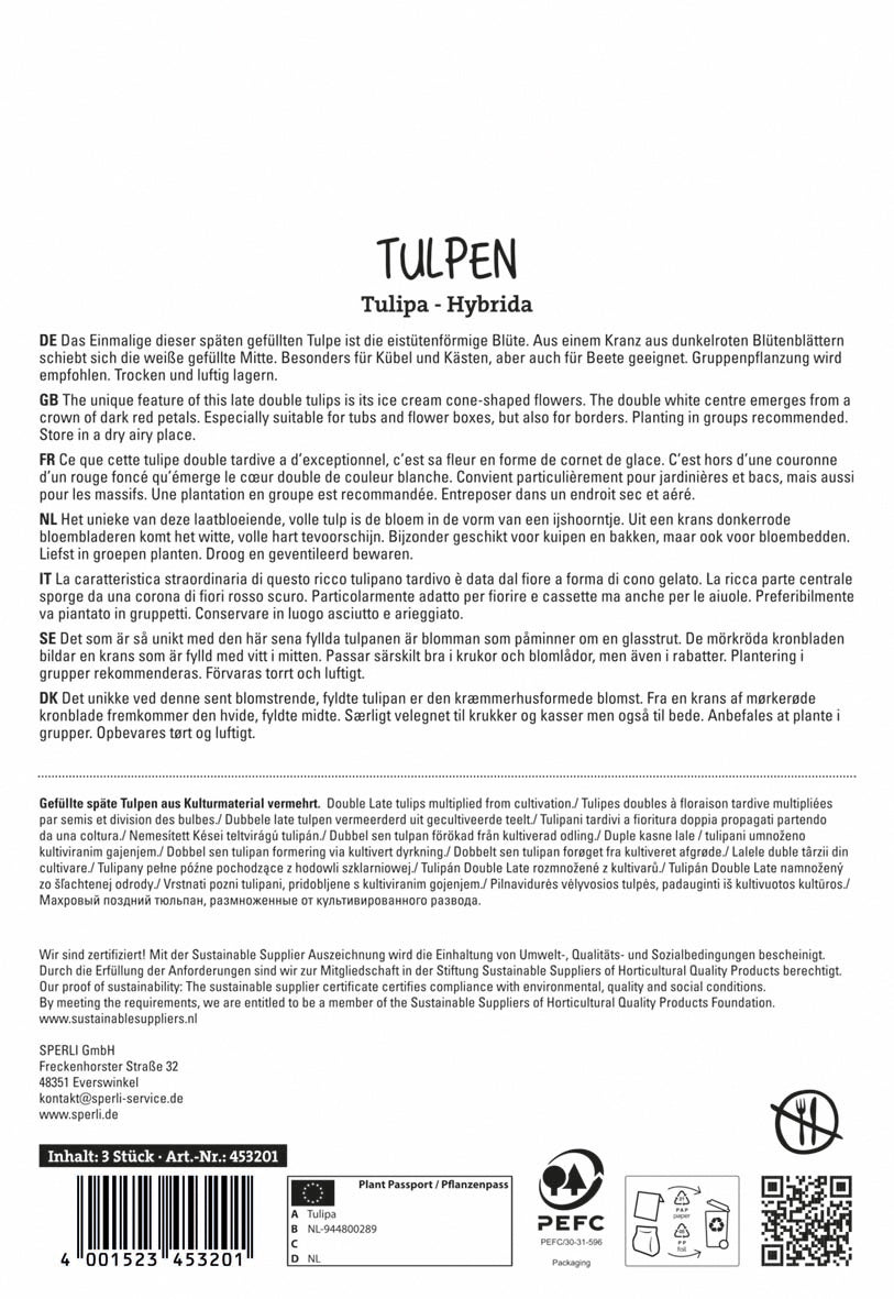 Tulpe Ice Cream (3 Stück)