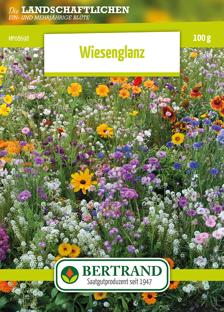 Blumenwiese "Wiesenglanz" (100 G)