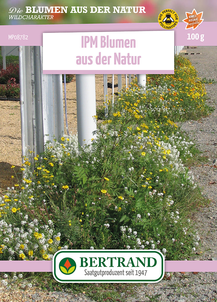 Blumenwiese IPM Wildblumenmischung (100 G)
