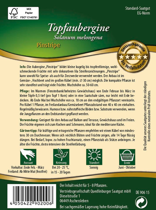 Topfaubergine Pinstripe F1