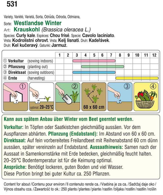 Krauskohl Westlandse Winter