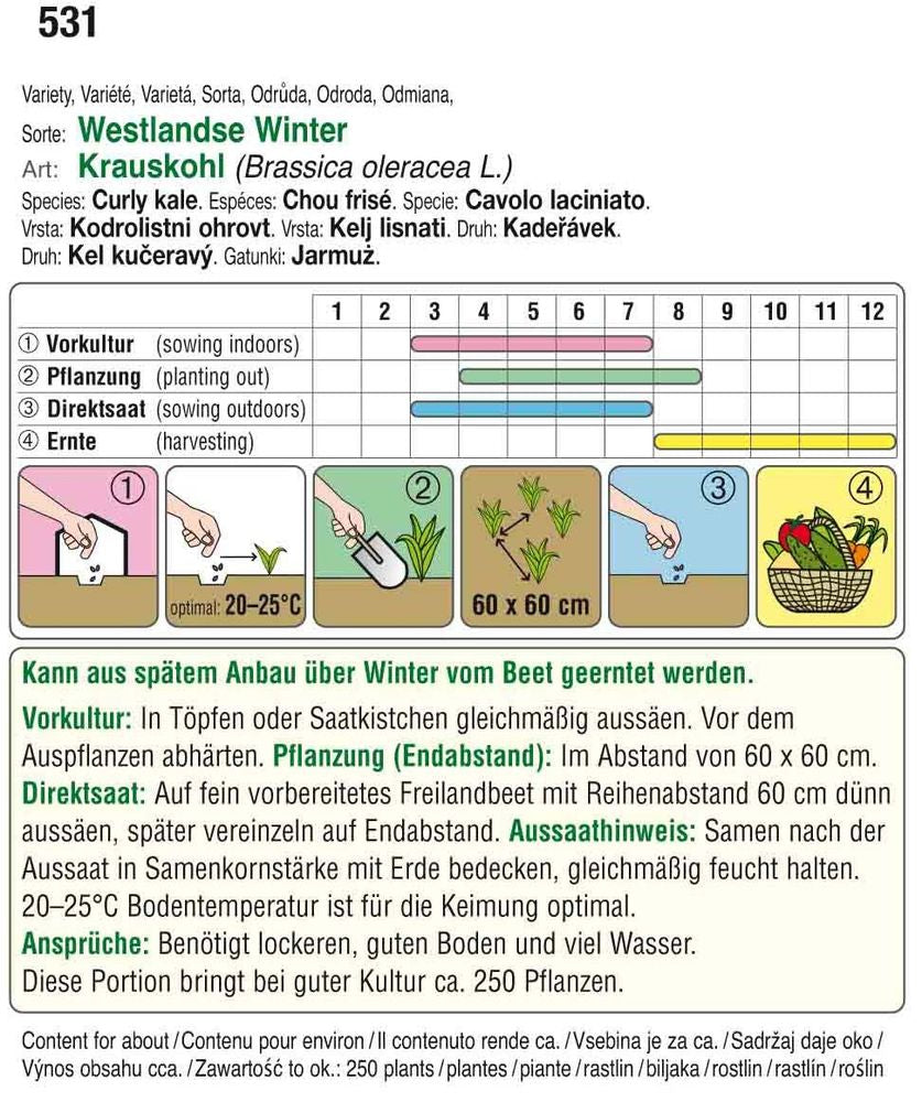 Krauskohl Westlandse Winter