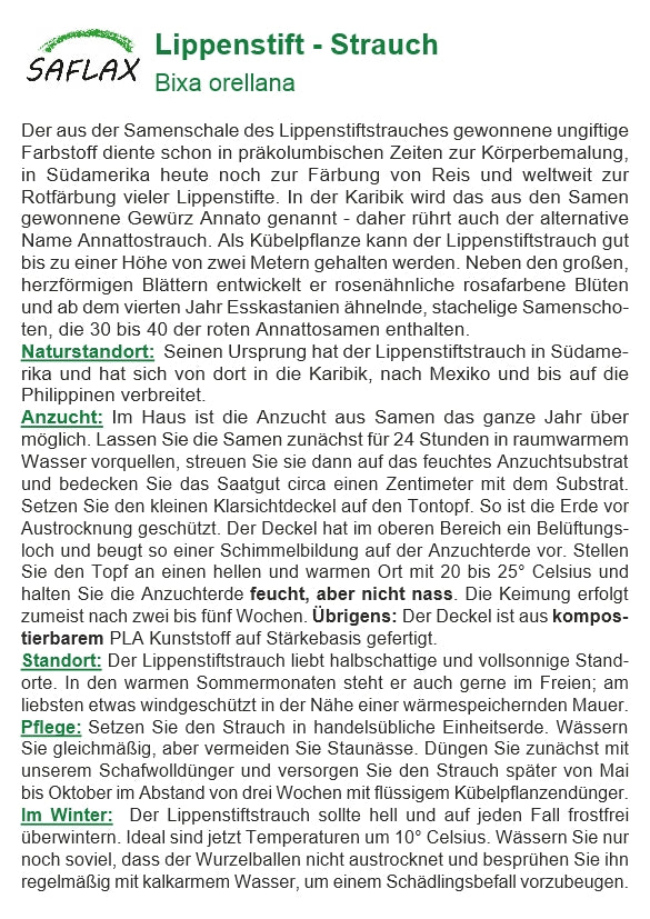 Garden To Go Lippenstiftstrauch