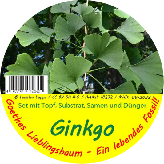 Garden To Go Ginkgo