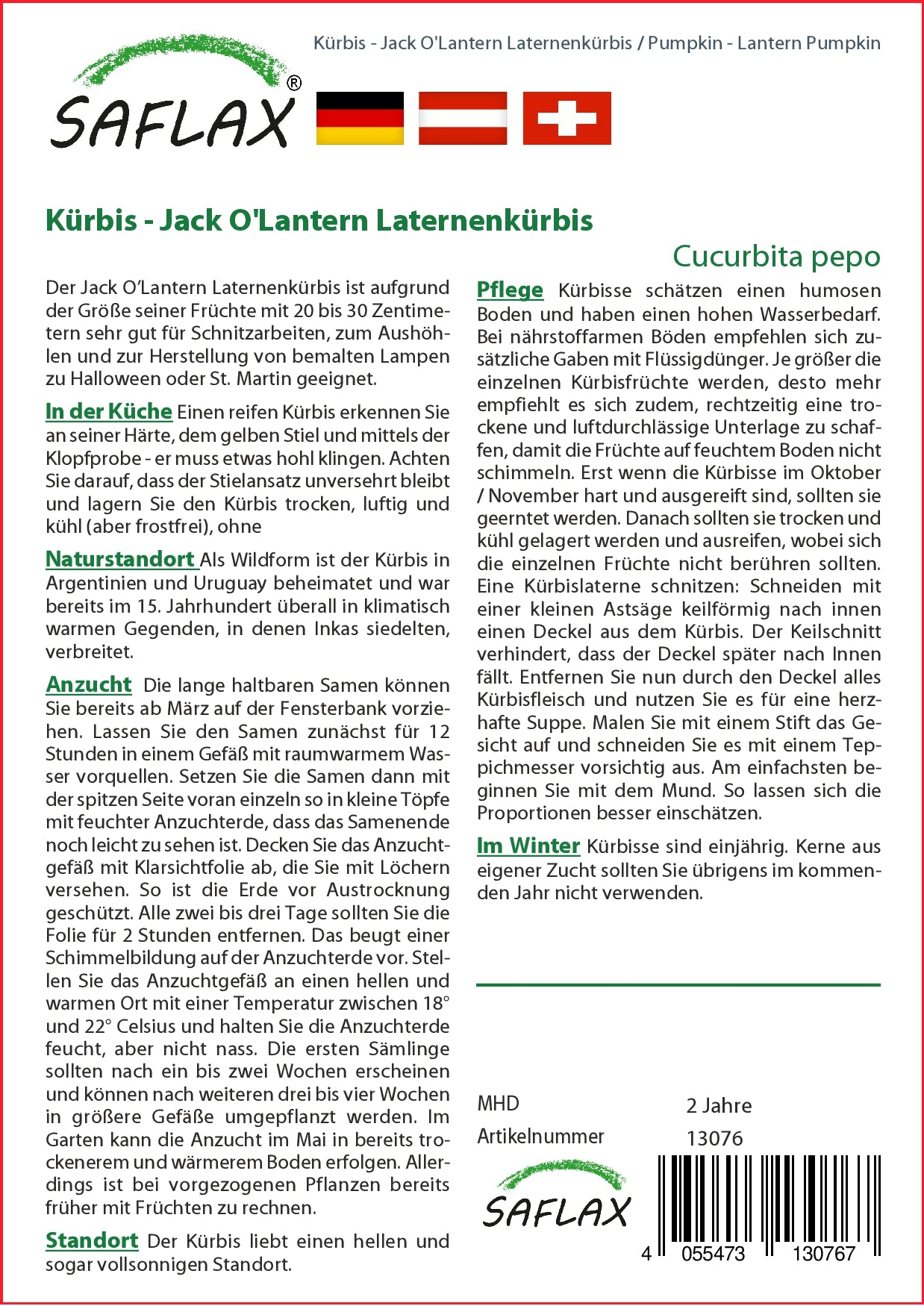 Laternenkürbis