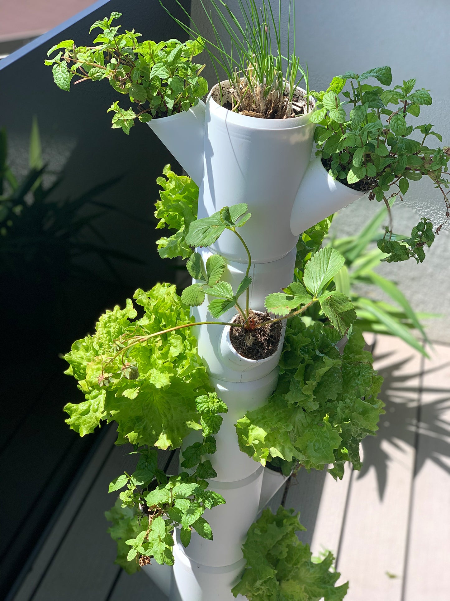 SISSI STRAWBERRY Erdbeerturm Hanging Weiß (4 Etagen)