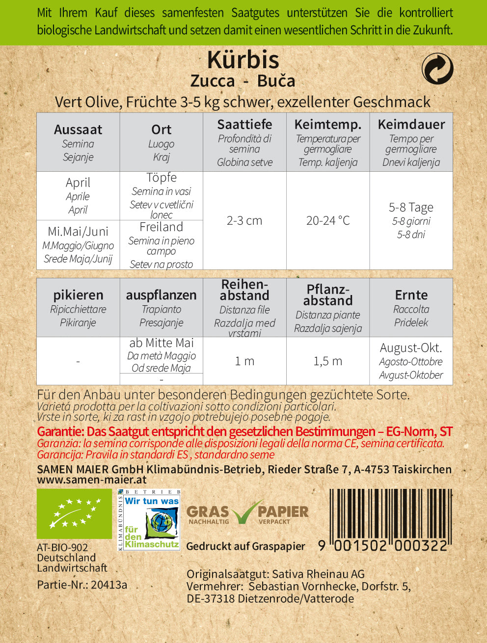 BIO Kürbis Vert Olive