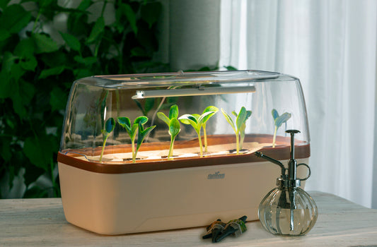 BoQube Gewächshaus & Pflanzkasten L Plus LED Creme-kupfer