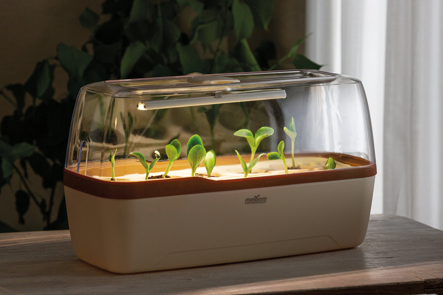 BoQube Gewächshaus & Pflanzkasten L Plus LED Creme-kupfer