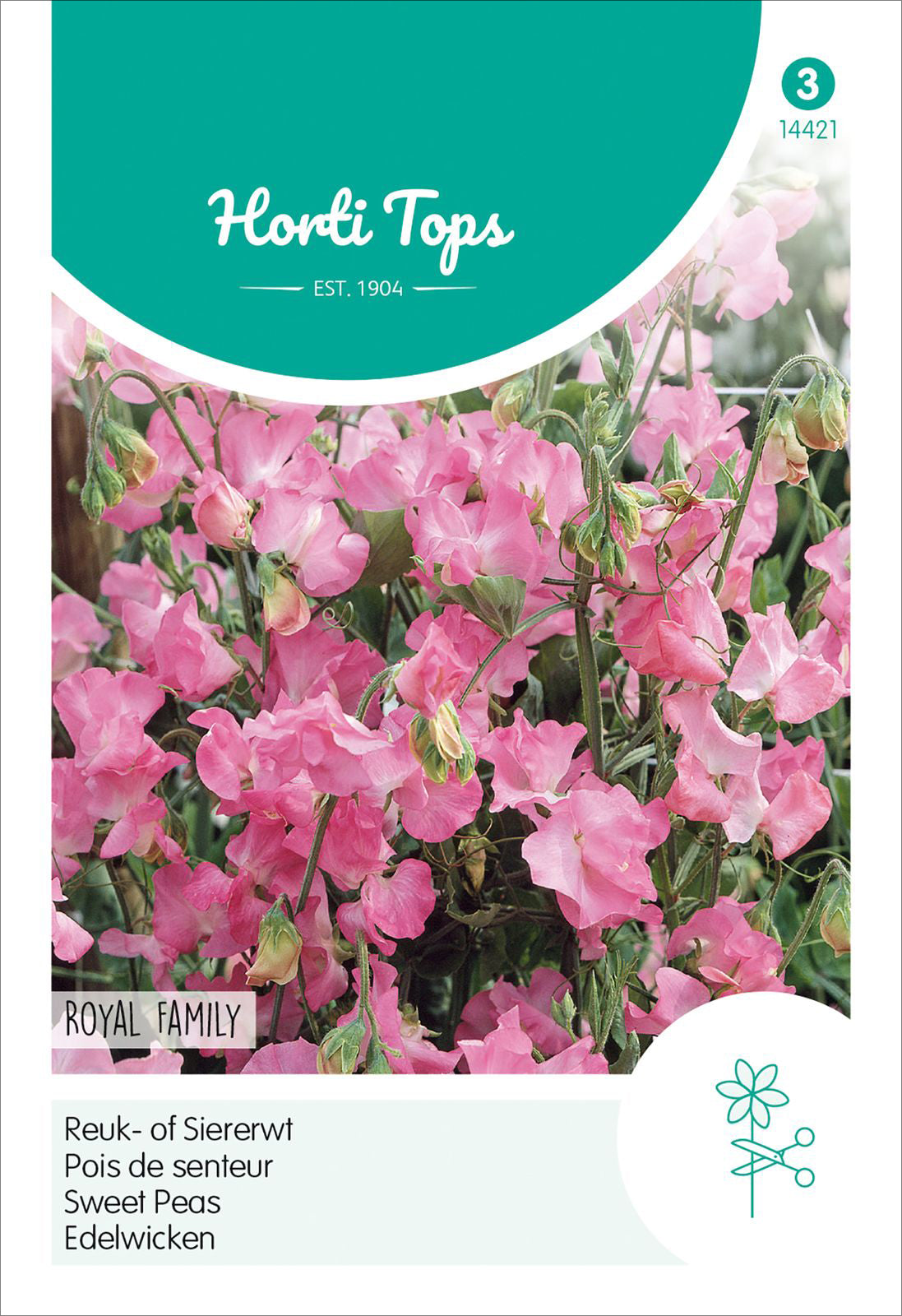 Edelwicken Royal Family Rosa