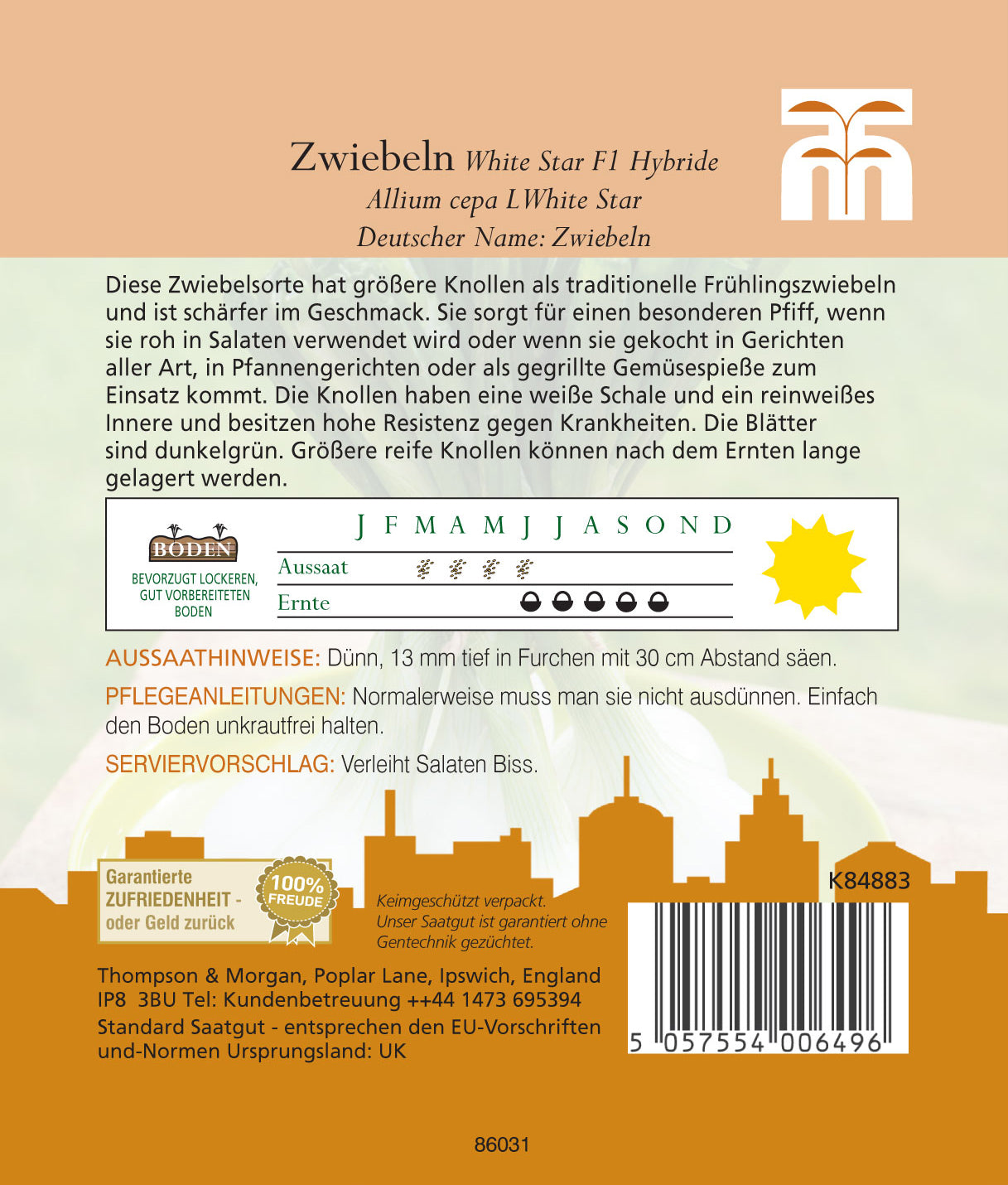 Zwiebel White Star