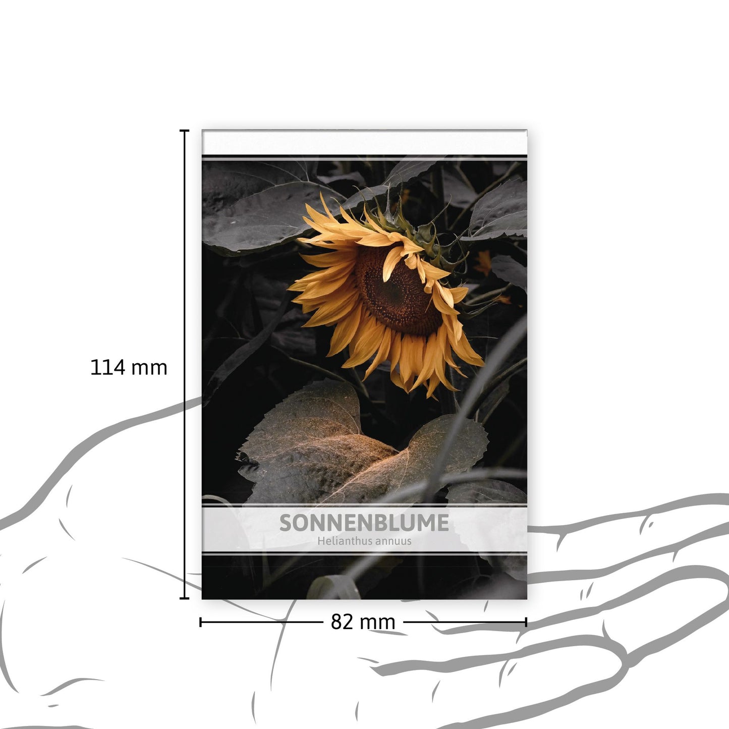 Sonnenblume Für Werbezwecke (100 Tütchen)