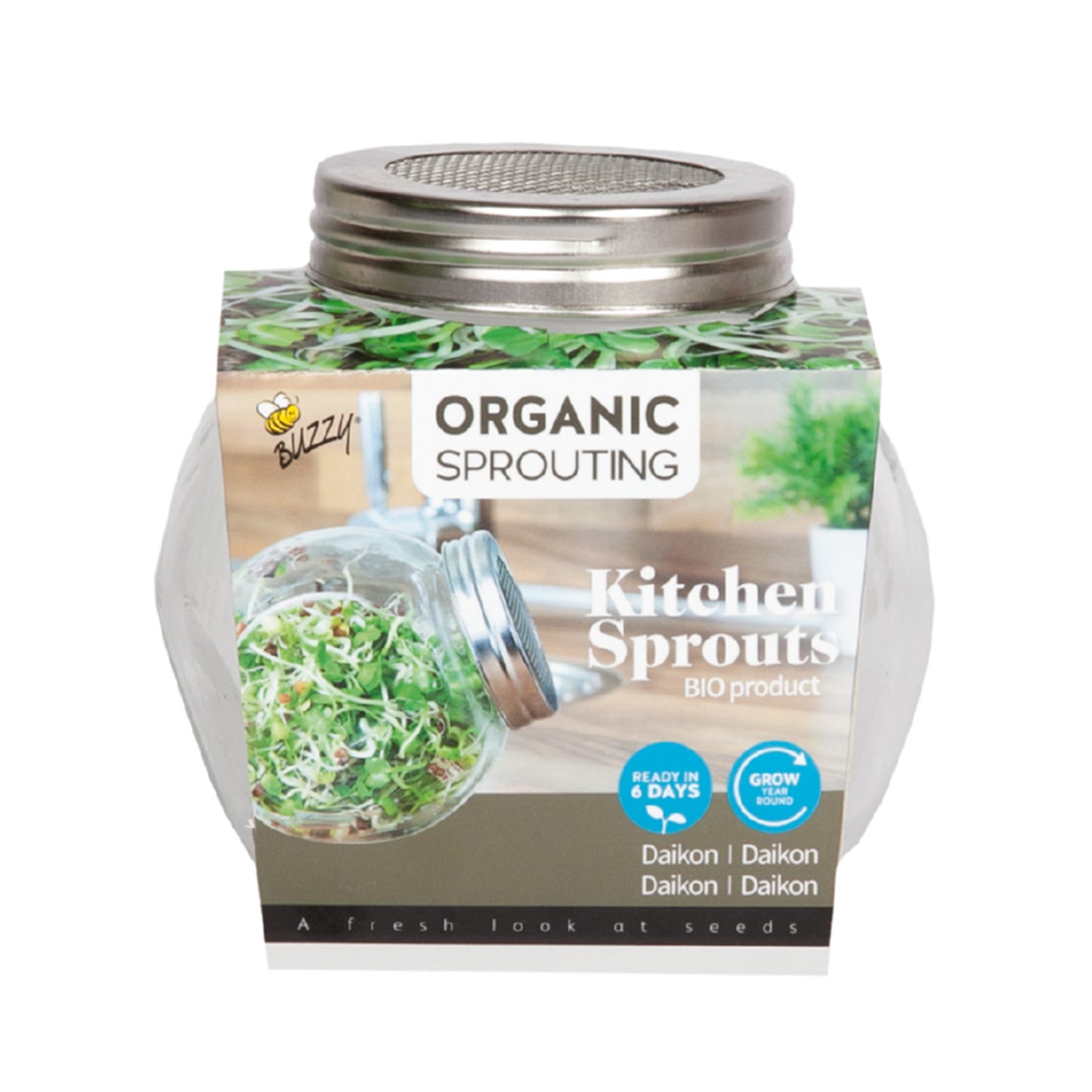 Sprossenglas Mit BIO Keimsprossen Daikon