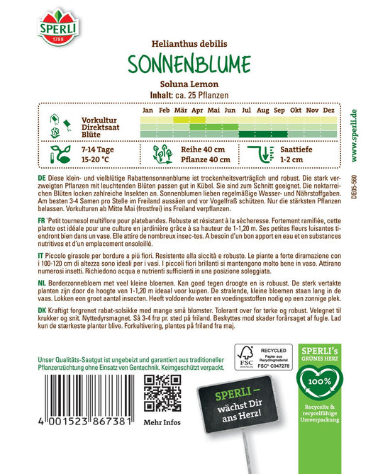 Sonnenblume Soluna Lemon