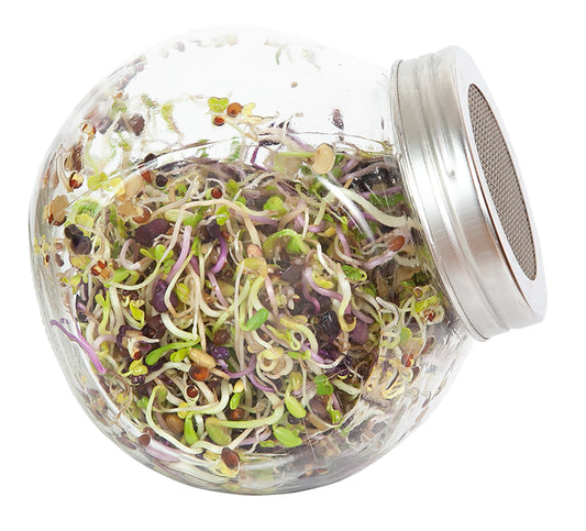 Sprossenglas (425 Ml)
