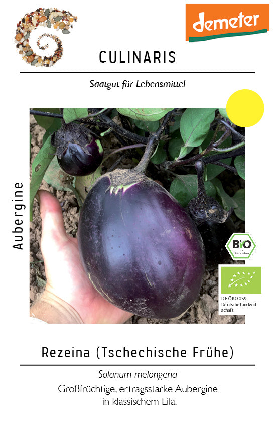 BIO Aubergine Tschechische Frühe