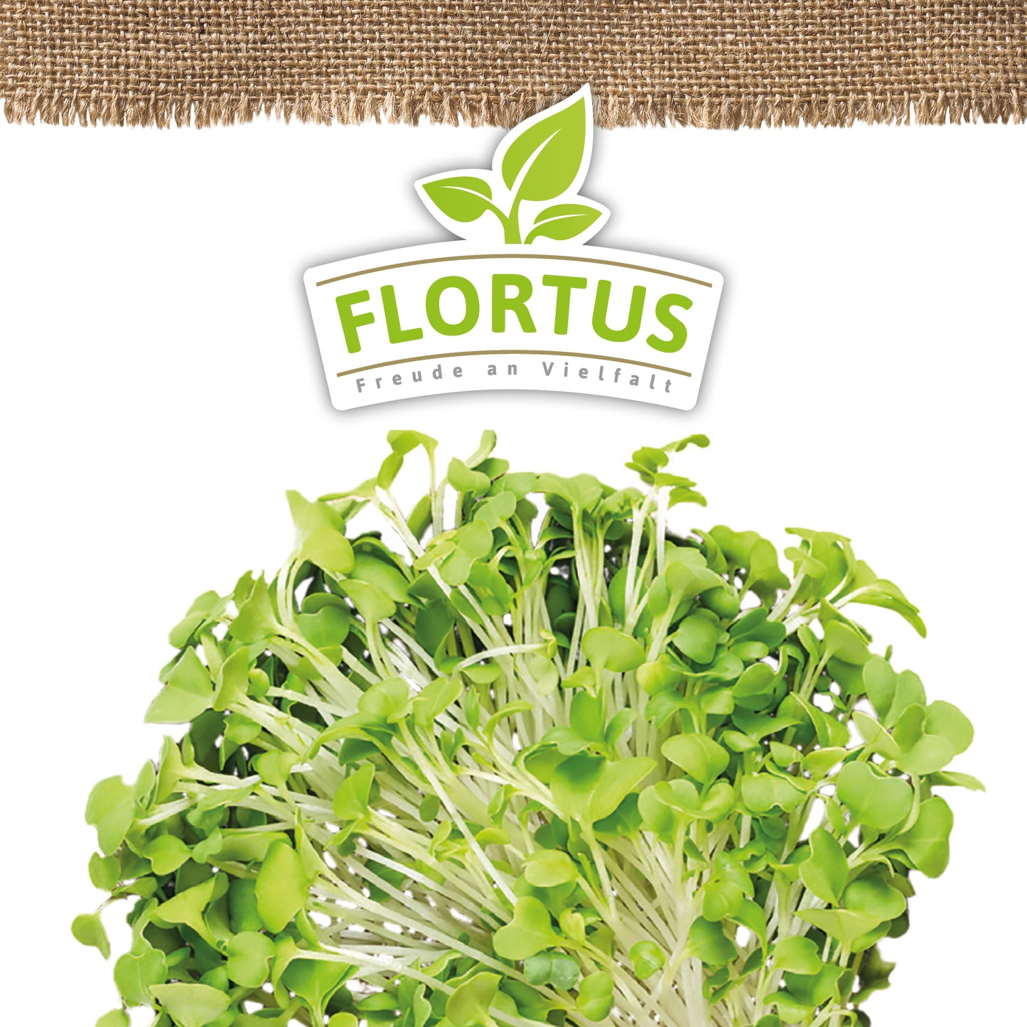 BIO Keimsprossen Blattsenf Green Mizuna