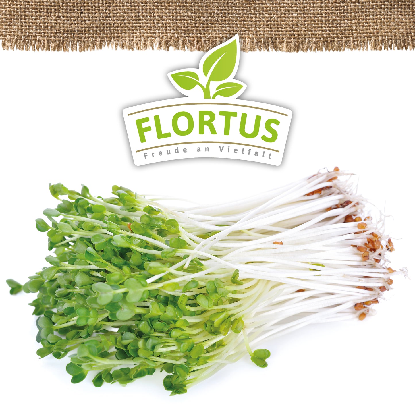 BIO Keimsprossen Daikon-Rettich
