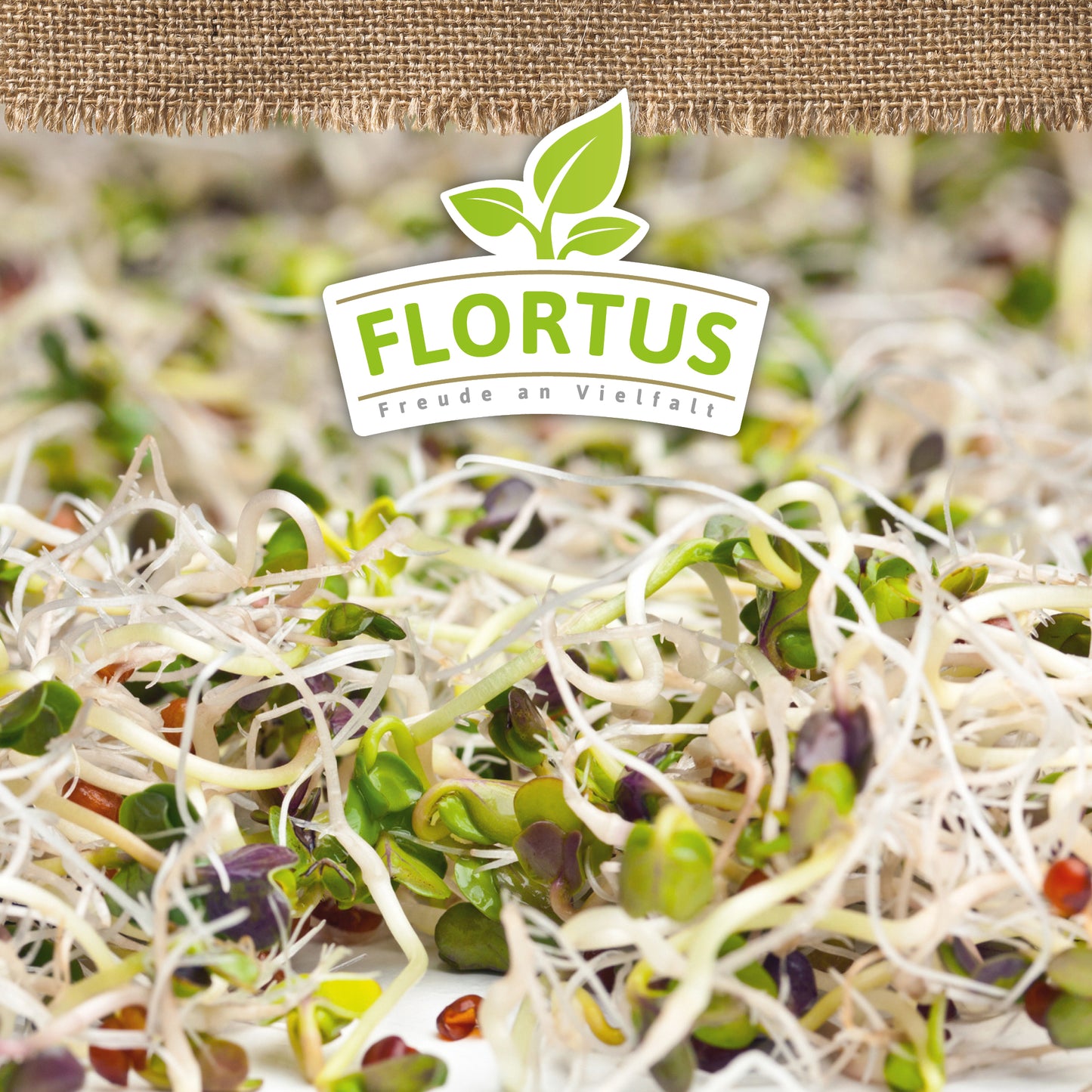 BIO Keimsprossen Gourmet-Mischung (Quinoa, Linsen Und Rettich)