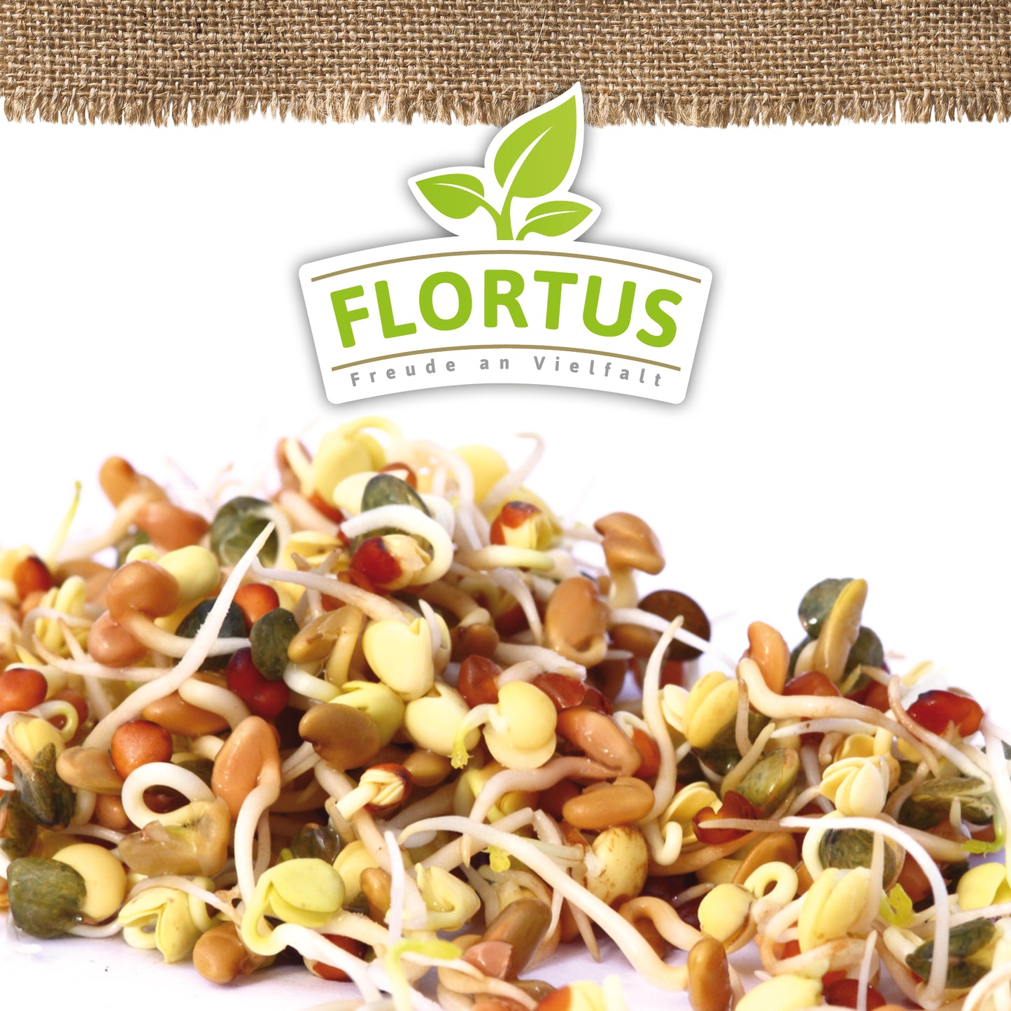 BIO Keimsprossen Wellness-Mischung (Mungbohnen, Alfalfa, Linsen Und Rettich)