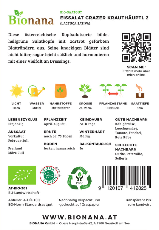 BIO Eissalat Grazer Krauthäuptel