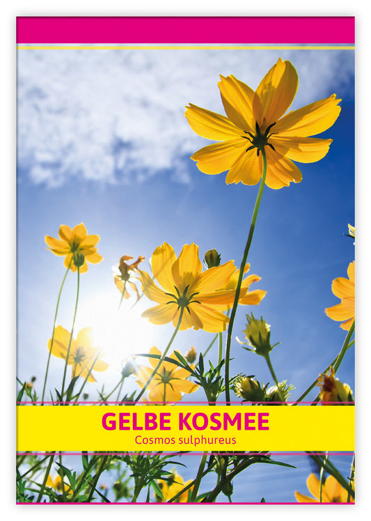 Gelbe Kosmee Für Werbezwecke (100 Tütchen)