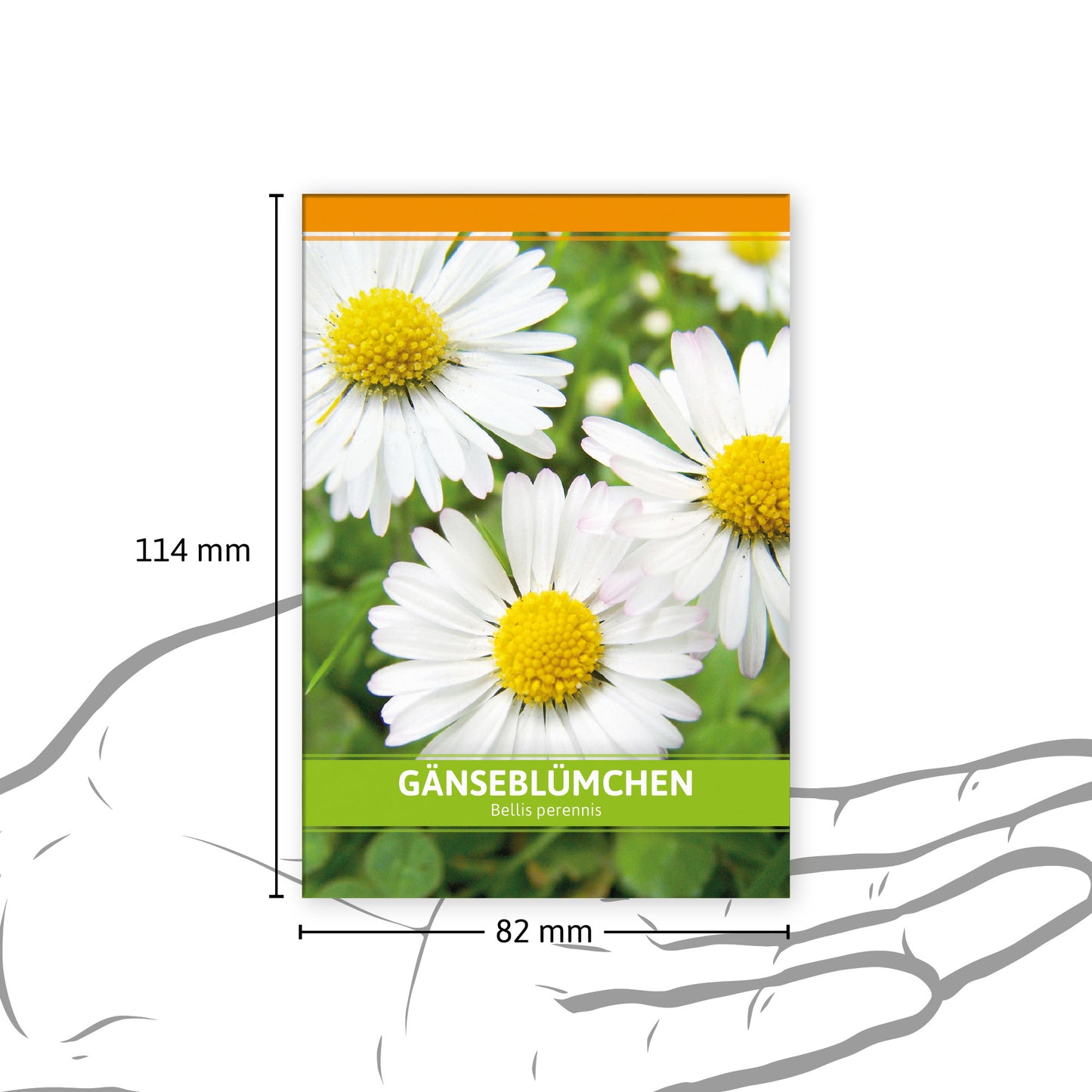 Gänseblümchen Für Werbezwecke (100 Tütchen)
