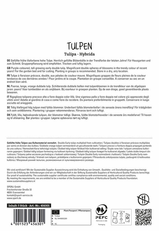 Tulpe Margarita (5 Stück)
