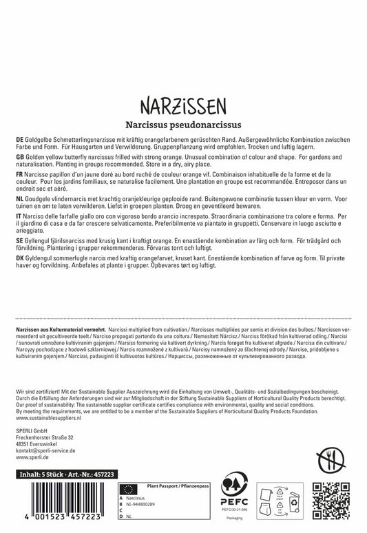 Narzisse Blazing Starlet (5 Stück)