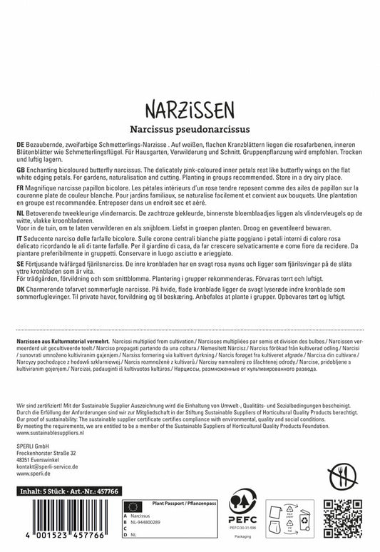 Narzisse Cum Laude (5 Stück)