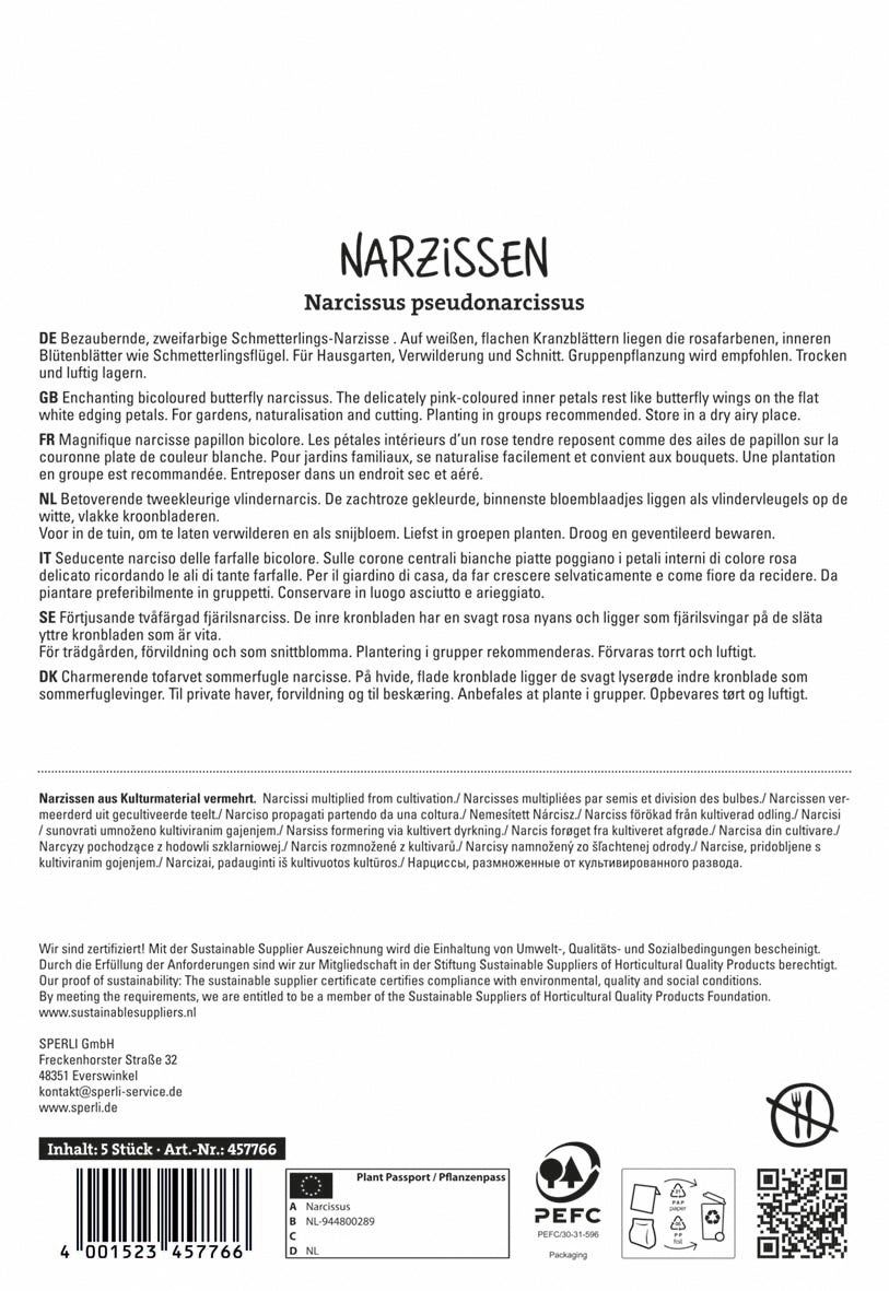 Narzisse Cum Laude (5 Stück)
