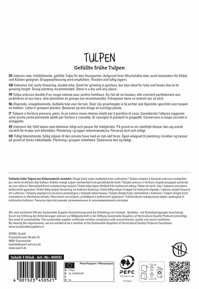Tulpe Pamplona (5 Stück)