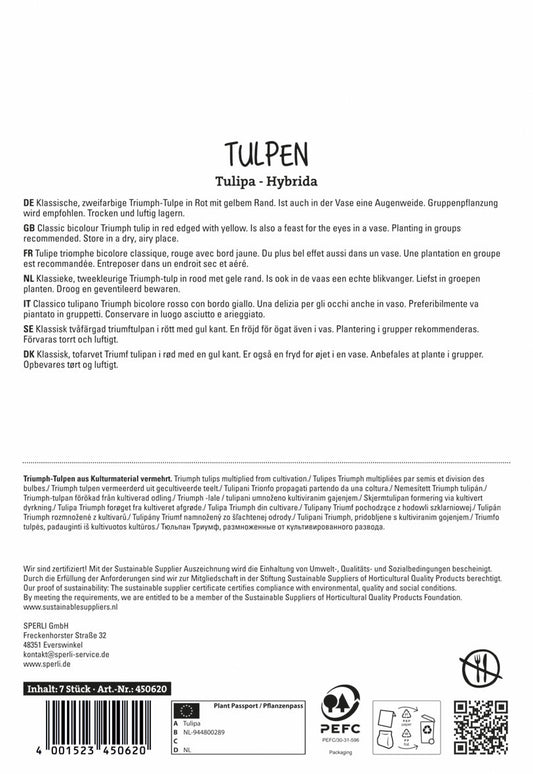 Tulpe Kees Nelis (7 Stück)