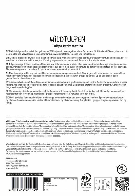 Wildtulpe Turkestanica (10 Stück)