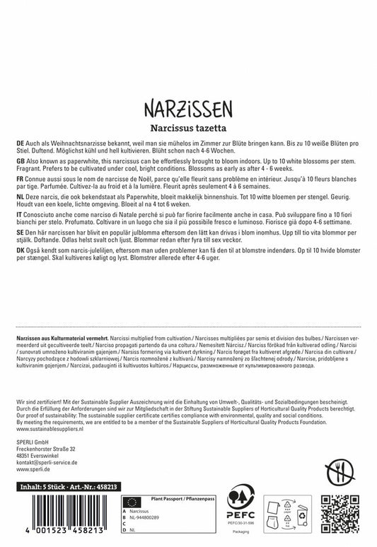 Narzisse Ziva (5 Stück)