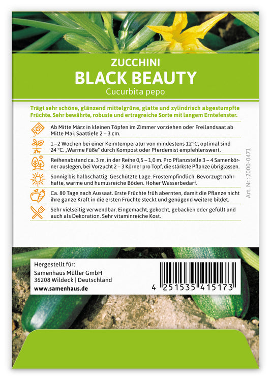 Zucchini Black Beauty