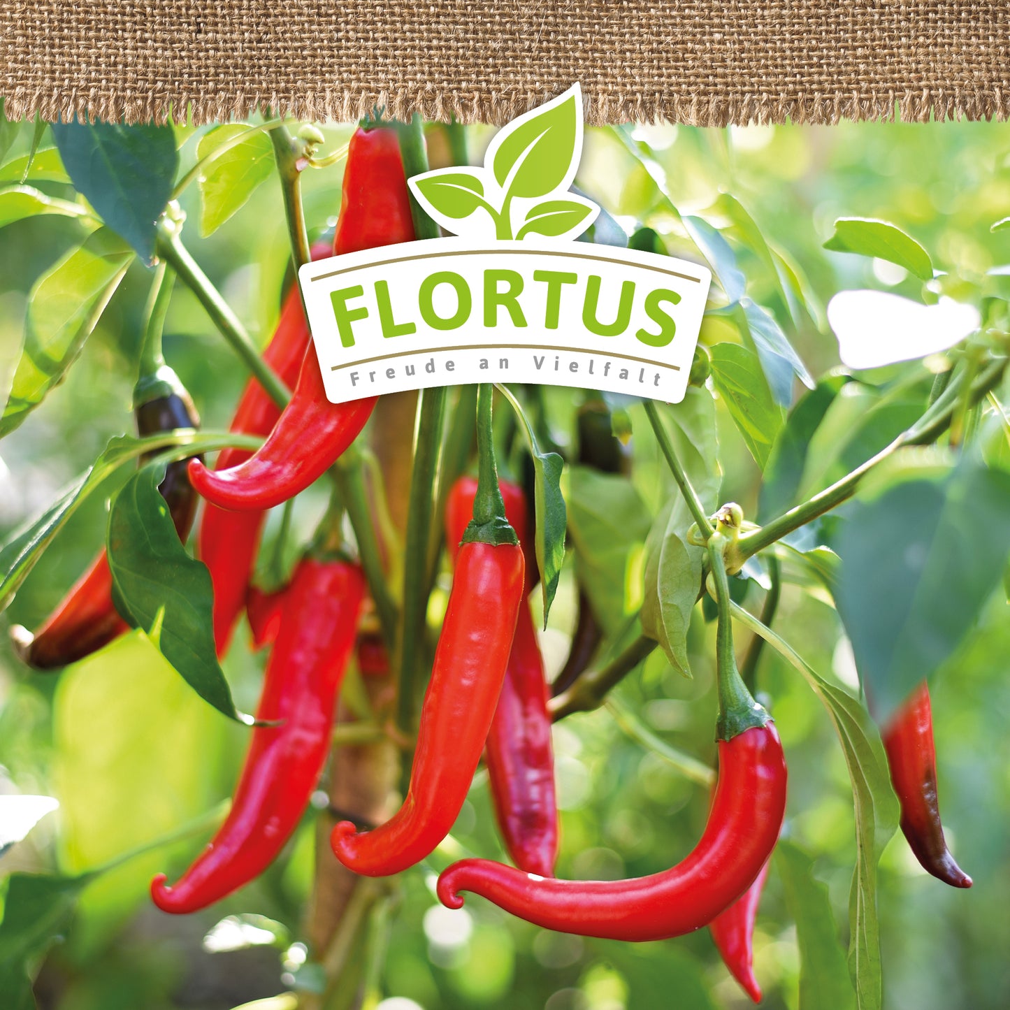 BIO Peperoni De Cayenne