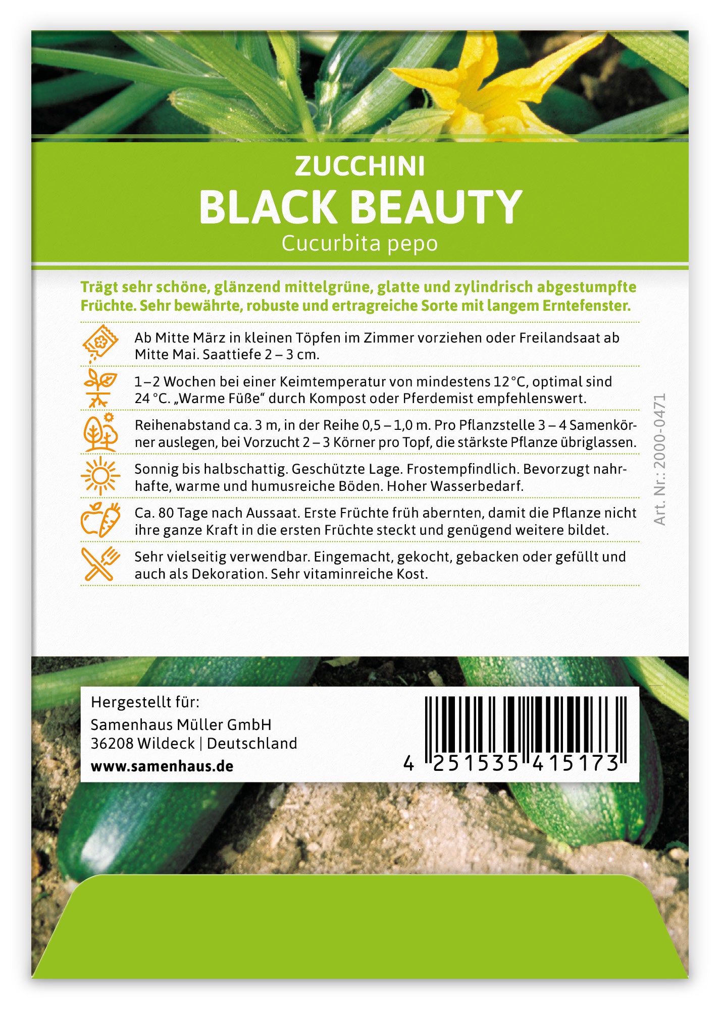 Zucchini Black Beauty (100 Stück)