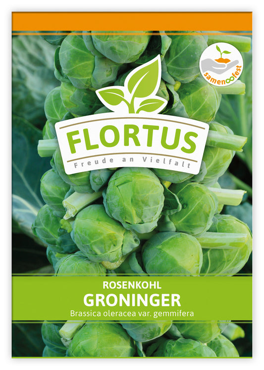 Rosenkohl Groninger (100 Stück)